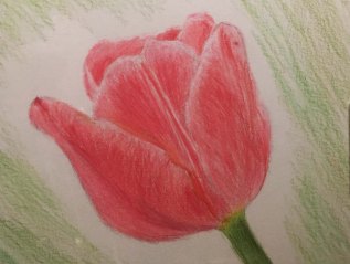 Mother’s Day Flower