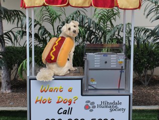 Hinsdale Humane Society